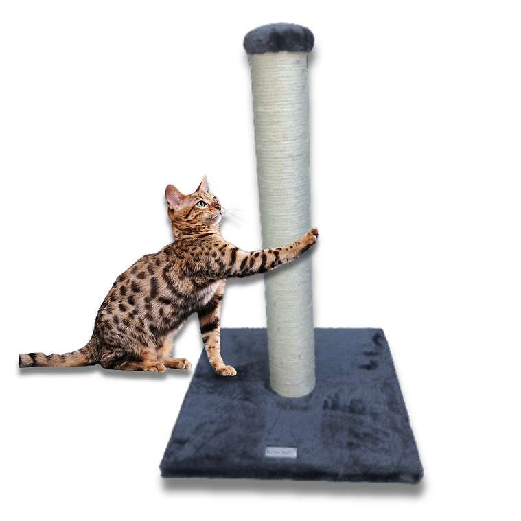 Bono fido scratching post hotsell