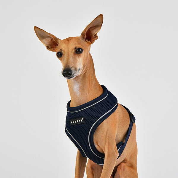 Puppia Soft Harness Pro Navy Dog Town Pet Supplies